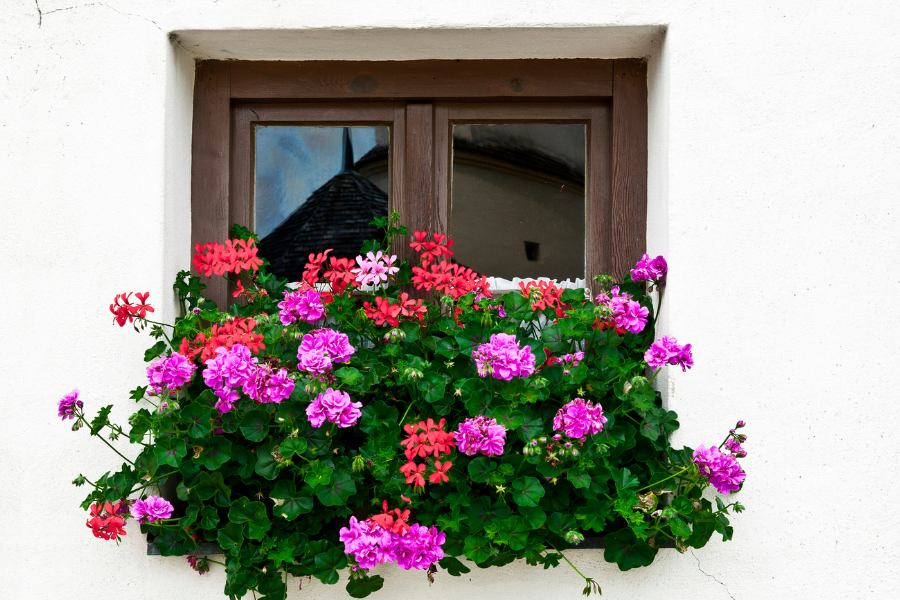 french courtyard garden ideas