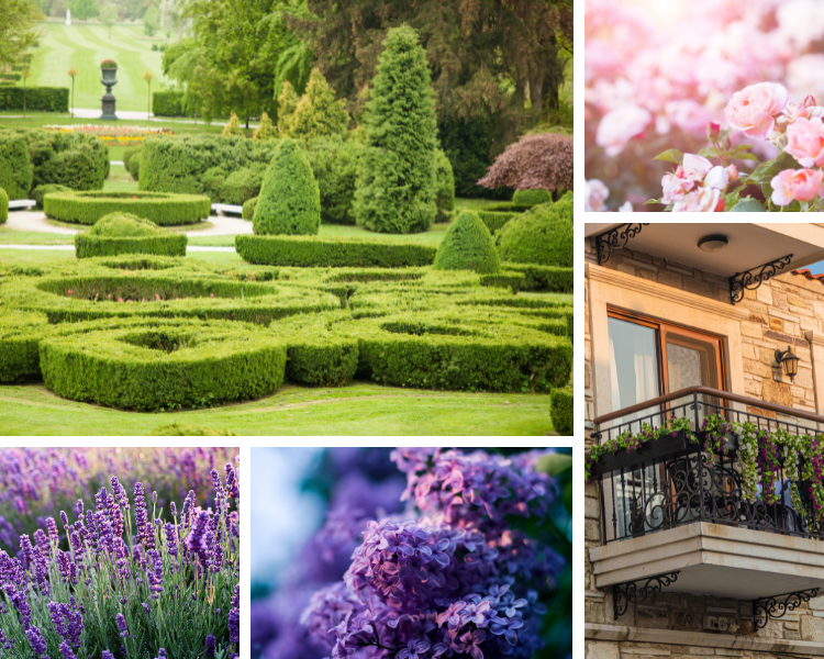 french garden flowers