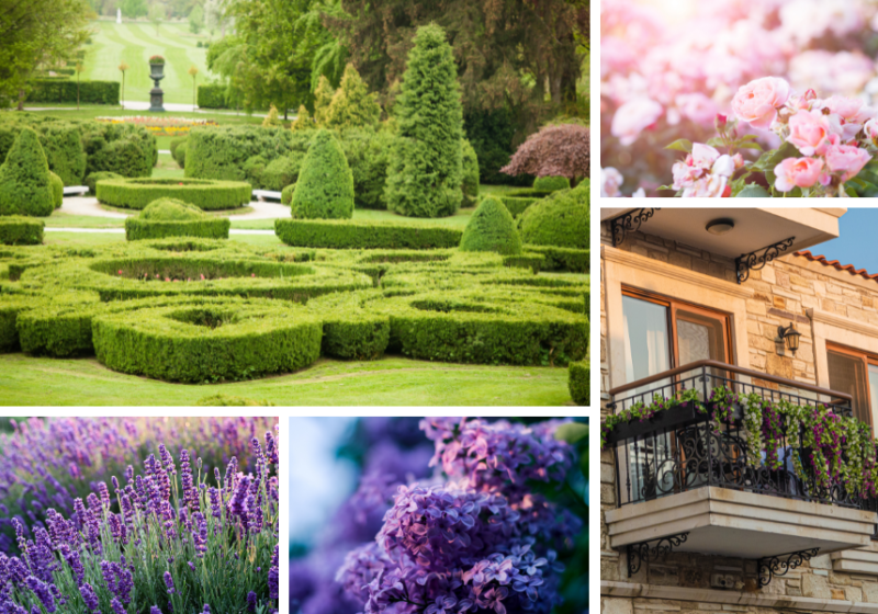 french garden flowers