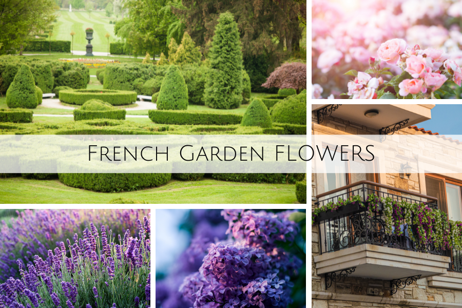 french garden flowers