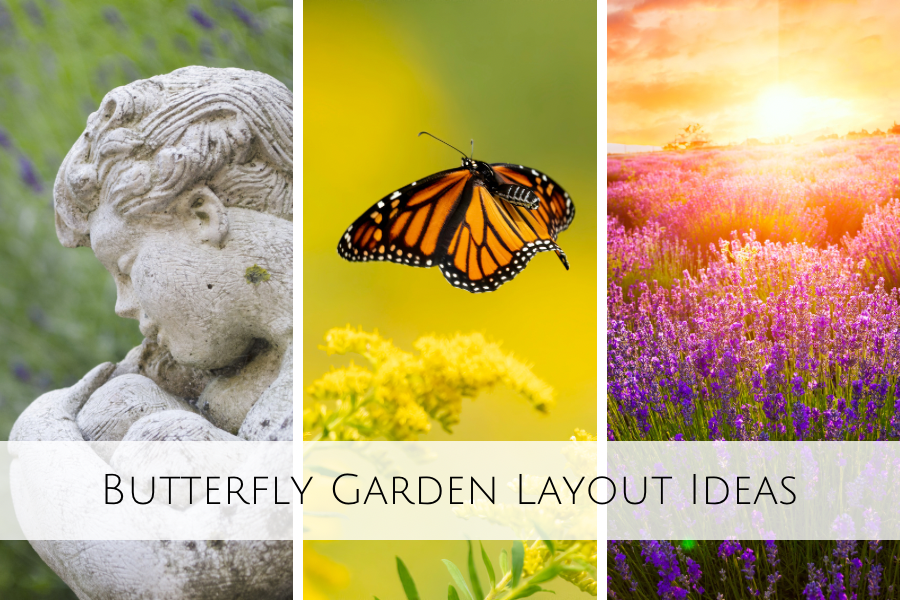 Butterfly garden layout ideas