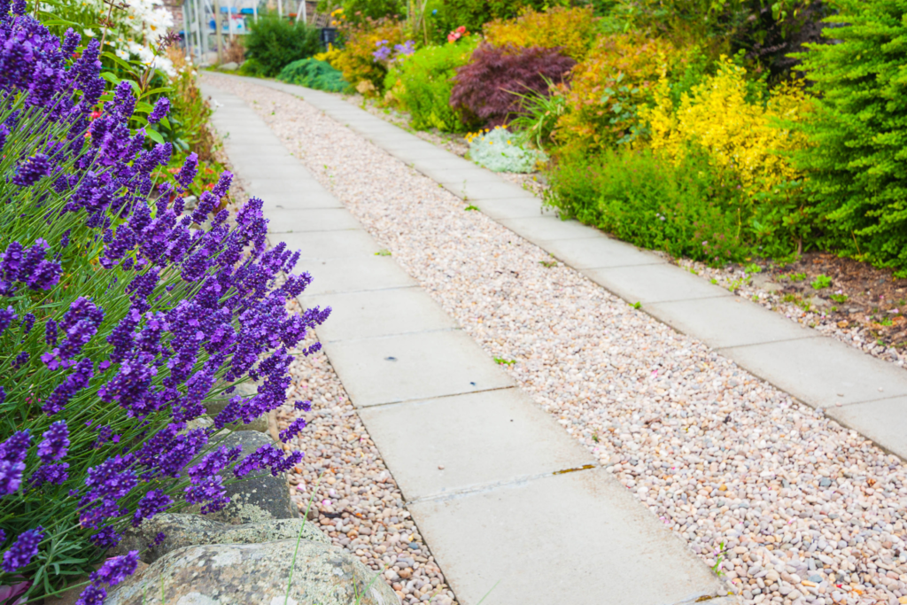 permeable pathways