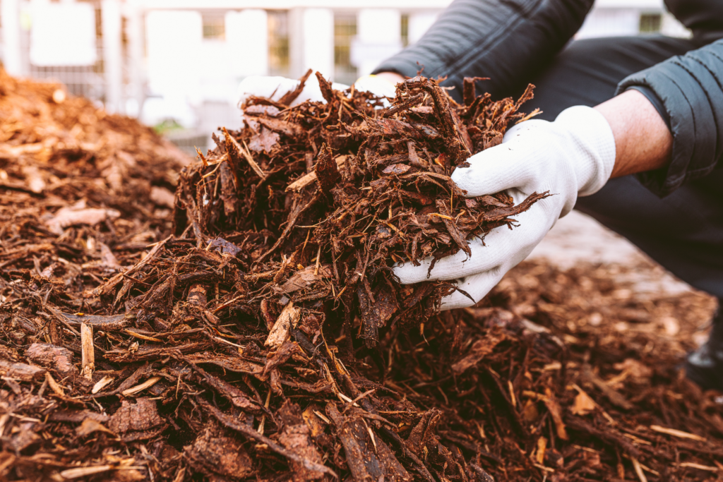 pine bark mulch