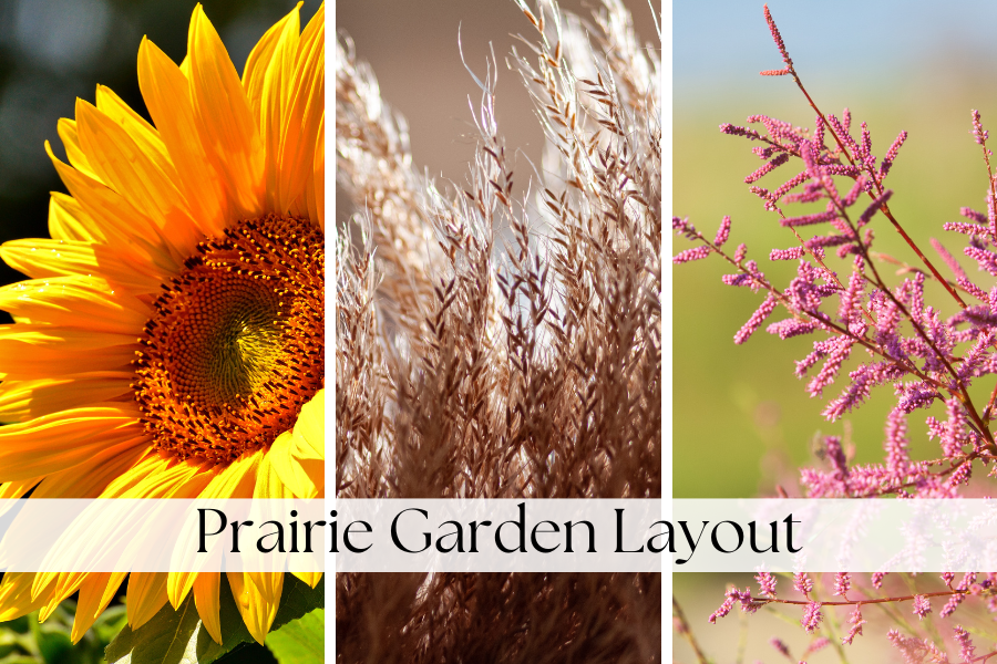 prairie garden layout