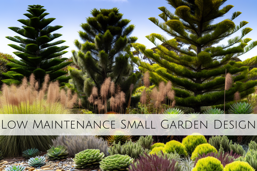 low maintenance small garden design