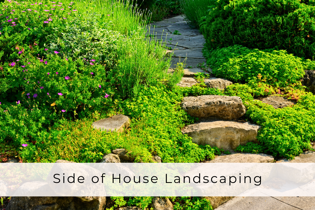 Side of House Landscaping