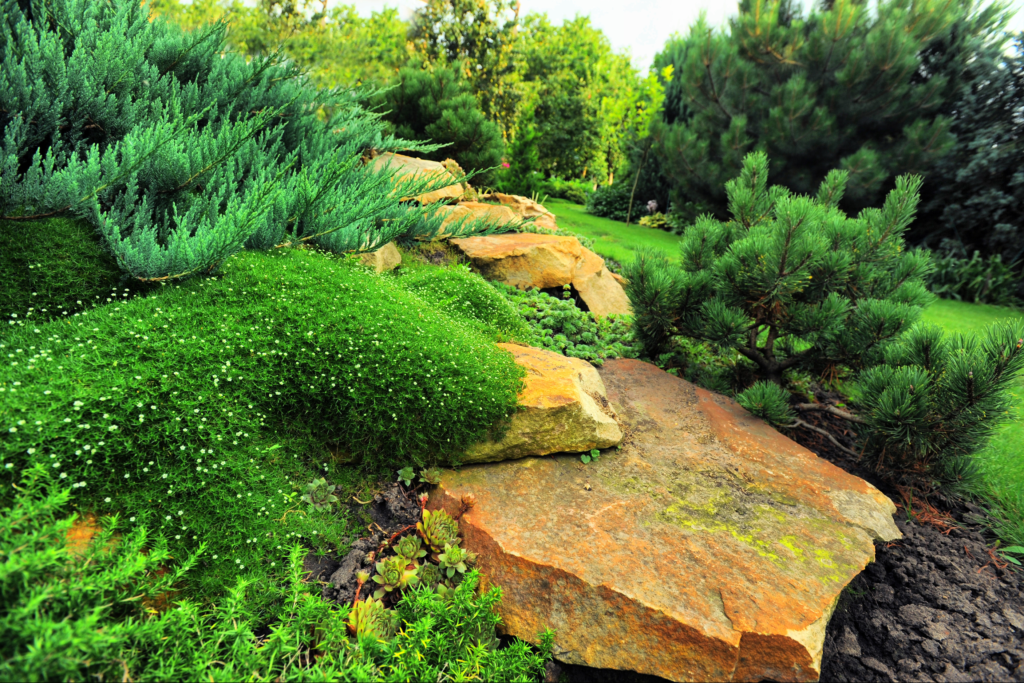 A rock garden oasis with drought-tolerant ground covers and native plants