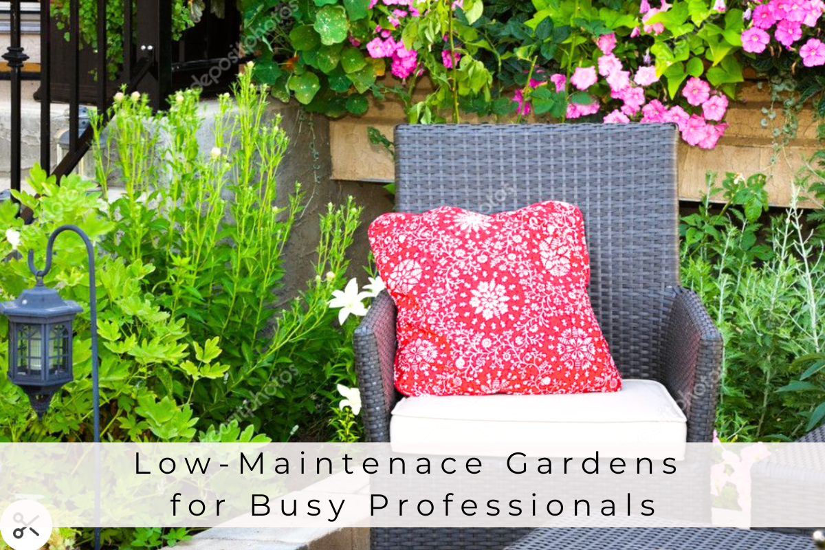 low-maintenance gardens for busy professionals