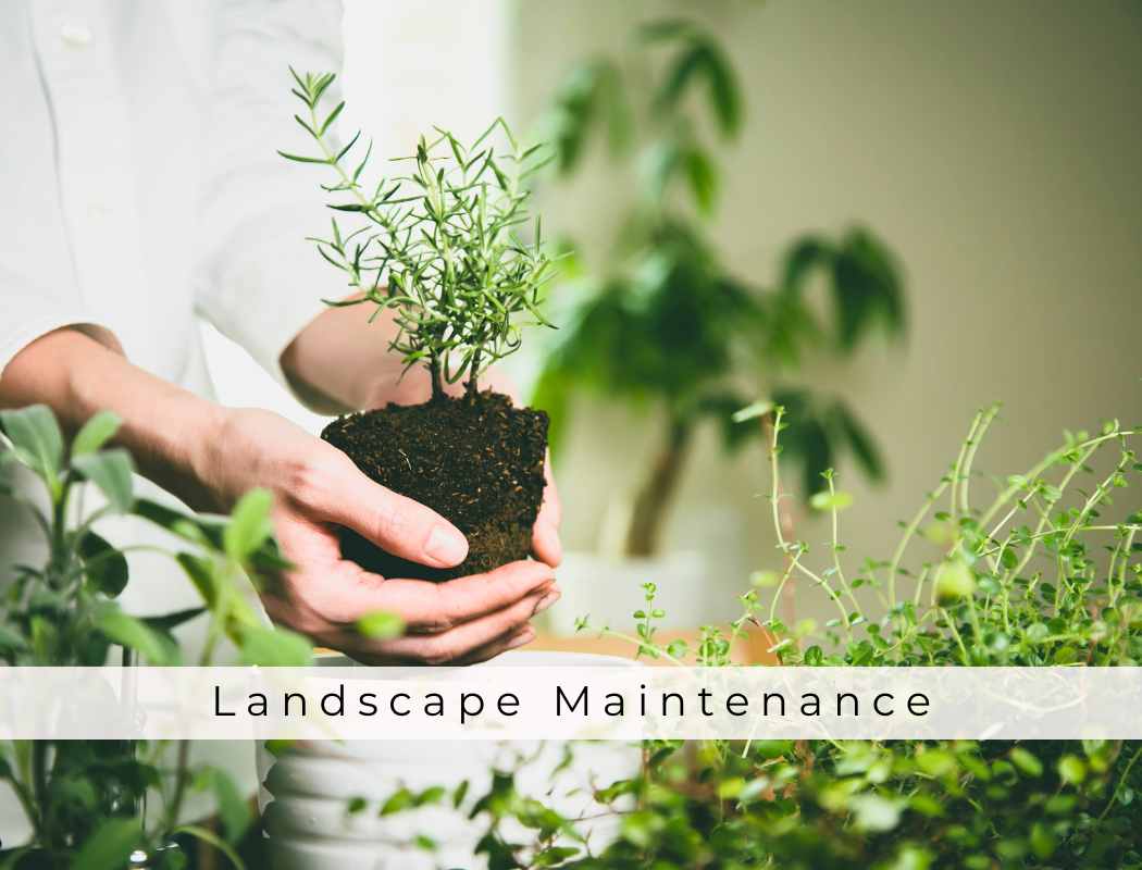 landscape maintenance